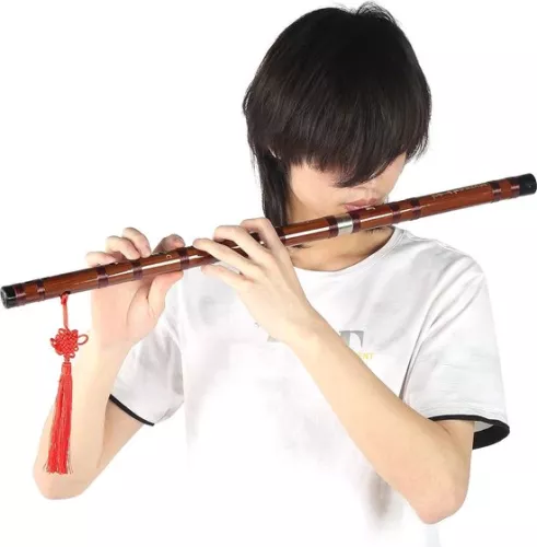 merkloos Bittere bamboefluit, traditioneel Chinees instrument met opbergdoos, voor beginners - C-toonaard (8785306027488)