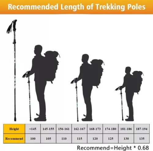 Sans marque Nordic Walking-stokken - Opvouwbare carbon trekkingstokken - Nordic Walking-mutsen - Wandelstokken - Verstelbaar & opvouwbaar - Intrekbaar - Telescopisch - Wandelaccessoires - Ergonomisch & lichtgewicht - 130 cm - Zwart & groen (8785306395891)