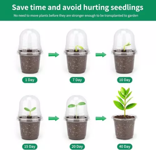 merkloos Allecto Plus - 32 kleine plastic plantenpotjes met bolvormig deksel voor zaden en zaailingen - Inclusief 10 plantpluggen (6154155361364)