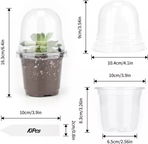 merkloos Allecto Plus - 32 kleine plastic plantenpotjes met bolvormig deksel voor zaden en zaailingen - Inclusief 10 plantpluggen (6154155361364)