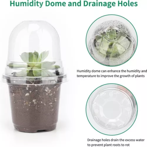 merkloos Allecto Plus - 32 kleine plastic plantenpotjes met bolvormig deksel voor zaden en zaailingen - Inclusief 10 plantpluggen (6154155361364)